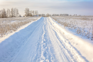 Fototapeta na wymiar Beauty of nature in winter