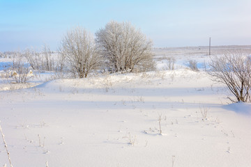 Beauty of nature in winter