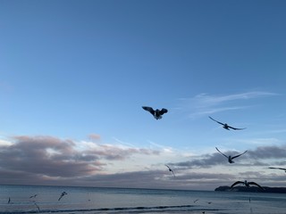 A Day at the Binz Beach on Island Rügen