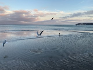 A Day at the Binz Beach on Island Rügen
