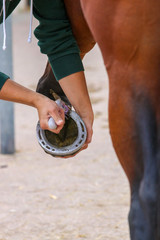 A horse gets its front hoof cleaned, close-up of the rider's hands working on the hoof..