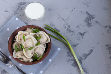 Boiled dumplings with feathers of green onions. In the background is a bowl with sour cream. On a gray background under concrete.