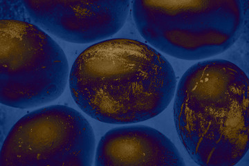 Easter eggs painted in monochrome sepia style on classic blue background, in light x-ray with...