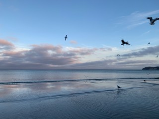 A Day at the Binz Beach on Island Rügen