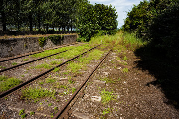 Fototapeta premium rail