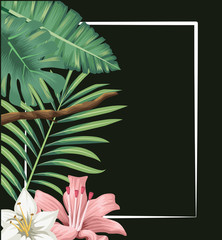 tropical exotic flowers hibiscus palm black banner