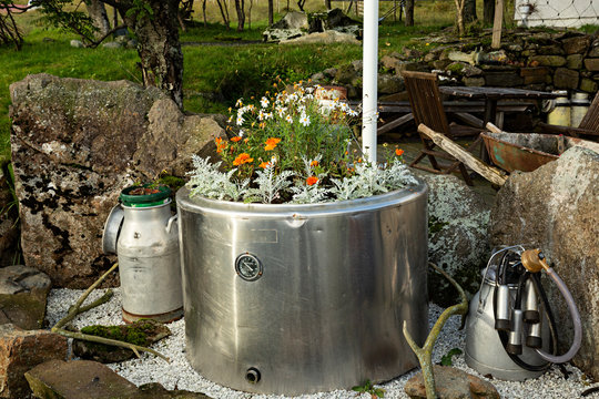 Margaritas en maceteros reciclados.