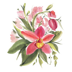Watercolor flowers. Orchid