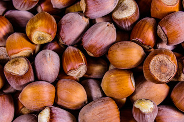 Pile of the hazelnuts for background. Healthy eating
