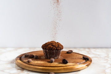 Chocolate cupcake and cocoa beans