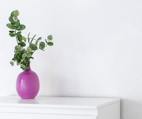 Empty interior  white wall mock up with vase with eucalyptus branch