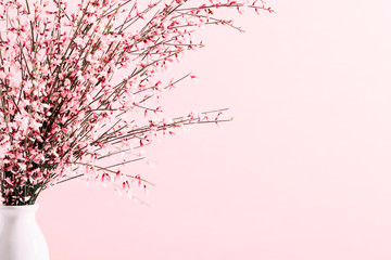 Fresh bouquet of pink flowers in vase on white shelf on pink wall background. Floral home decor.