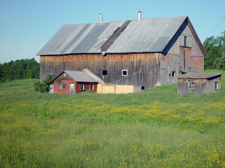 Old barn in Vermont in the spring