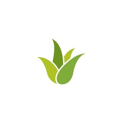 Green plant with sharp leaves icon. Medical, cosmetic, health care label.