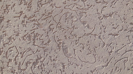 Decorative bark beetle plaster. Textured wall background