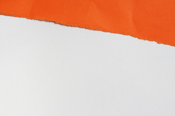 orange ripped paper on white background