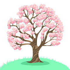 Obraz premium Sakura tree isolated on a white background. Vector graphics.