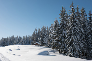 Alpine landscape with snow covered mountains and pine forest