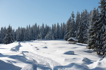 Alpine landscape with snow covered mountains and pine forest