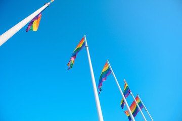 Colorful LGBT flags