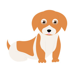 Dog sitting. Vector puppy pooch. Cute cartoon funny character. Help homeless animal concept. background Isolated.