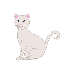 Cat vector illustration. Vector illustration of a cute white cat. cat for your design