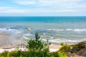 Fototapeta Morze Bałtyckie plaża rośliny obraz