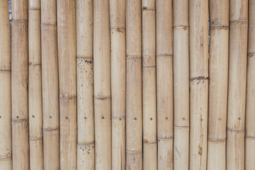 bamboo wooden background