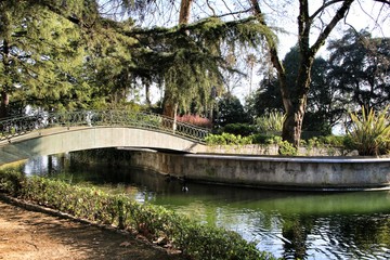 Fototapeta na wymiar Beautiful pond with ducks in the Idyllic Crystal Palace Garden