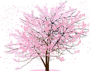 Fototapeta na wymiar spring tree with pink blooms and flying petals on white
