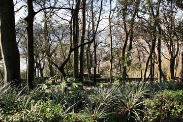 Idyllic Crystal Palace Gardens in Oporto