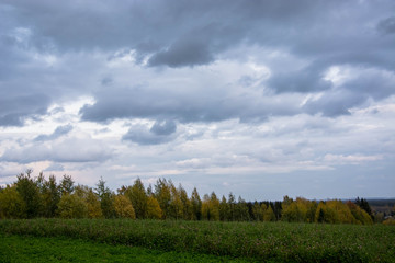 Fototapeta premium Autumn landscape. Russian nature. Cloudy windy weather. Meadow of clover and trees.