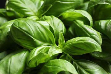 Fresh basil leaves as background, top view