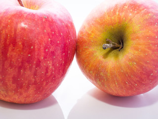 Fototapeta na wymiar リンゴ