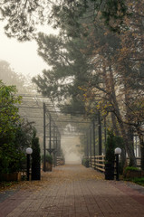 Quiet deserted seafront and autumn city park. Wet foggy autumn morning in the UK and the south coast