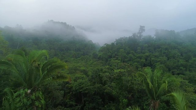 Aerial view of misty Mayan Mountains in Central American jungles