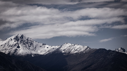 Fototapeta premium Bussard im Gebirge