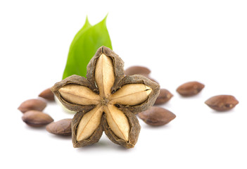 Nuts Incas , sacha inchi peanut seed an isolated on white background