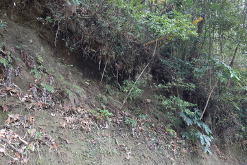 Fototapeta premium 土砂崩れ