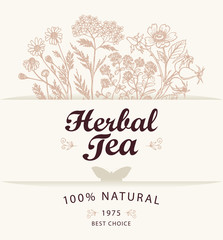 Obraz premium Vector banner or label for a herbal tea with hand-drawn herbs, calligraphic inscription and butterfly on a light background.