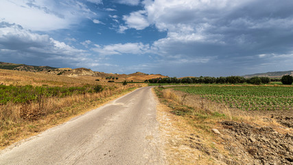 Fototapeta na wymiar Rural landscape in Matera province at summer