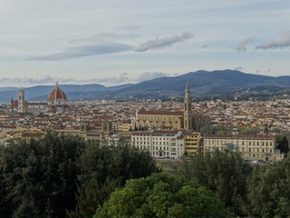 Fototapeta na wymiar Firenze dall'alto.