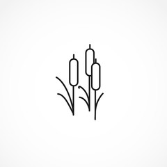 reed icon on white background