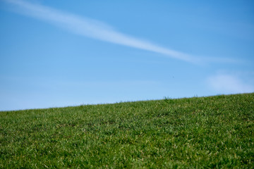 Abstract minimalistic landscape with  green grass on a meadow in spring against the bright blue sky with a little cloud. Seen in Tauchersreuth, Germany, in March 2019