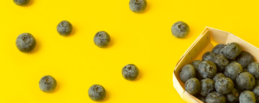 Blueberry berries on a yellow banner background. A scattering of berries on a colored yellow background. Minimal food and summer concept