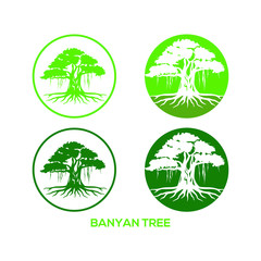 Tree vector illustrations, roots, mangrove tree VECTOR isolated.  banyan logo concept for your business