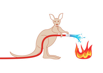 Incendie - kangourou qui éteint un feu