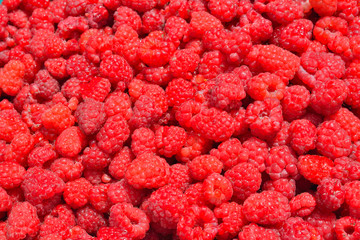 Berries of raspberry 6
