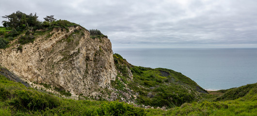 Sea Cliff 