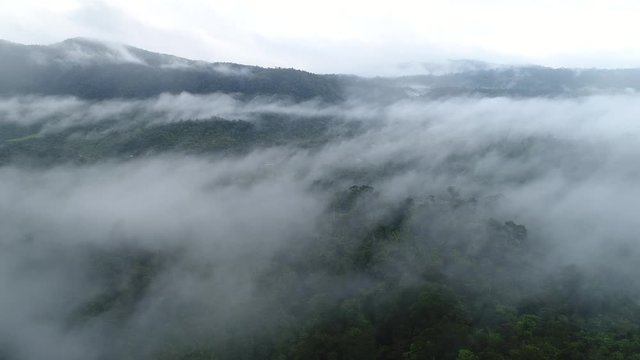 Flying above a jungle with clouds and mist